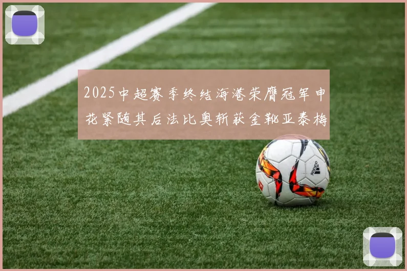 2025中超赛季终结海港荣膺冠军申花紧随其后法比奥斩获金靴亚泰梅州遗憾降级