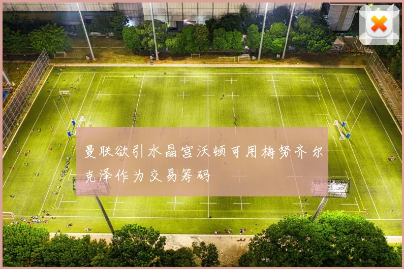 曼联欲引水晶宫沃顿可用梅努齐尔克泽作为交易筹码