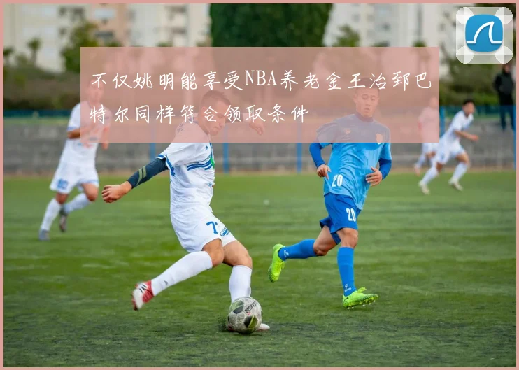 不仅姚明能享受NBA养老金王治郅巴特尔同样符合领取条件